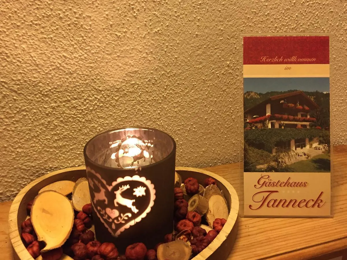 Gaestehaus Tanneck Райт-им-Винкль Гостевой дом